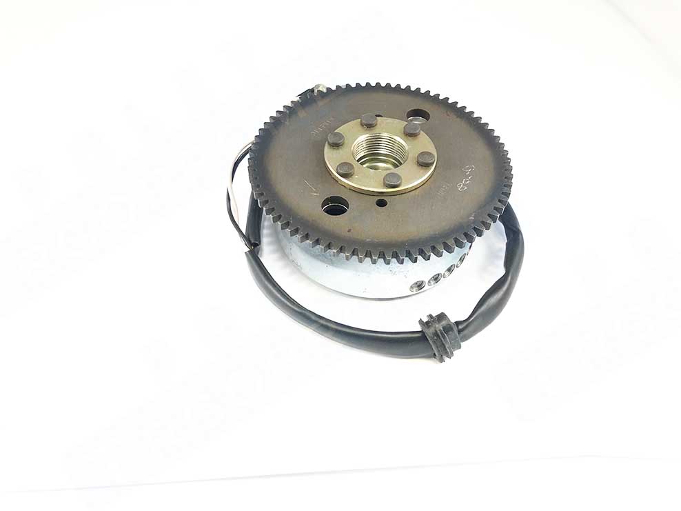 Elektronika komplet 12V 80W revival ,youngster, flexer (233720)